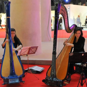 Arpa, arpa celtica e duo d arpa per musica matrimonio a Torno, Piemonte e Lombardia con Milano