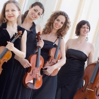 Quartetto archi al matrimonio e rito civile Torino. Sottofondo musicale per cerimonia Piemonte, Valle Aosta